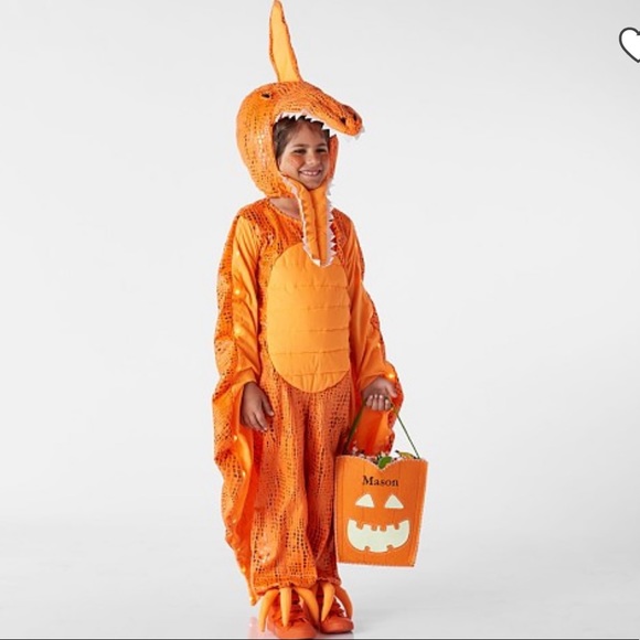 Pottery Barn Kids Other - NWOT Pottery barn kids Kids Light Up Pterodactyl Halloween Costume